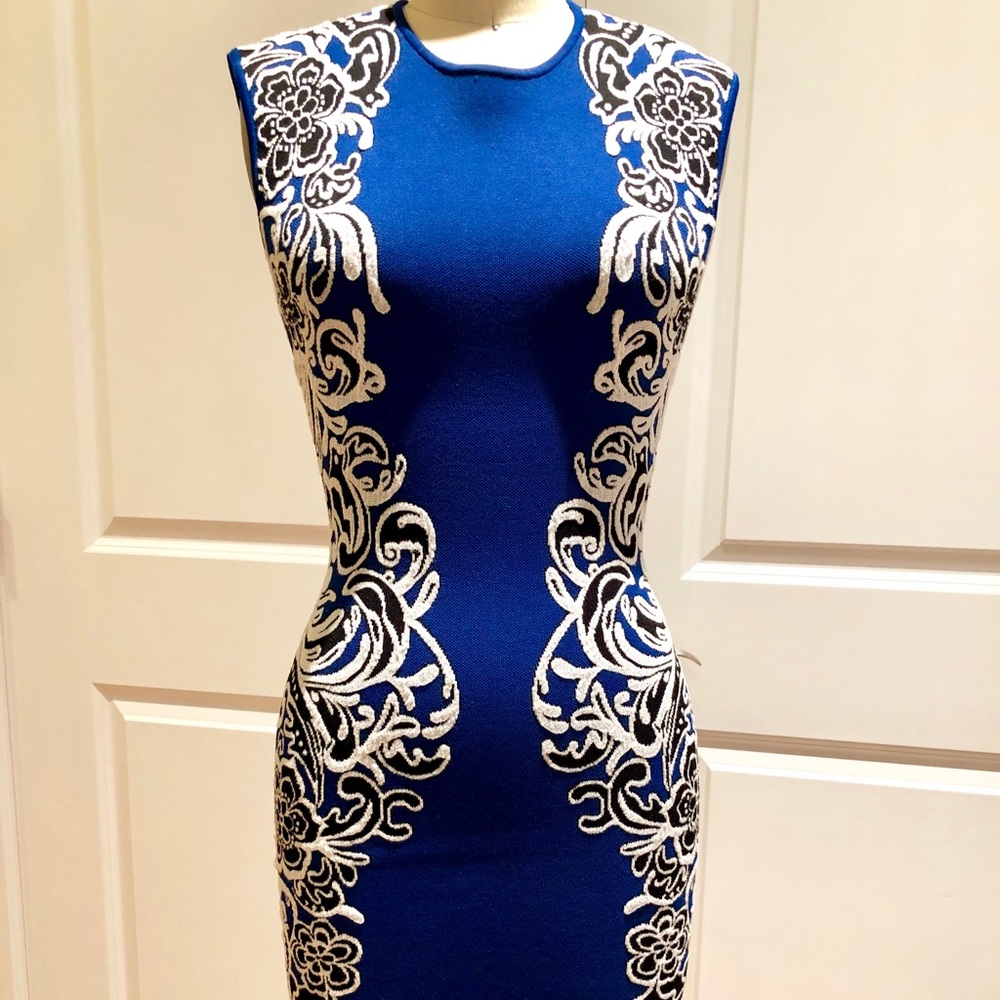 BCBGMaxAzria bodycon dress
